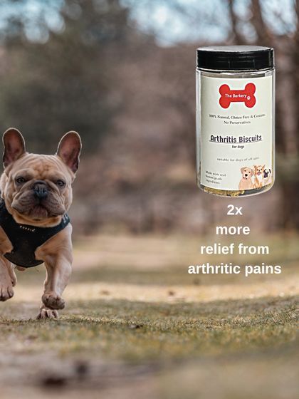 The Barkery by NV - Functional & Health-Specific Treats Joint & Mobility Support photo 3