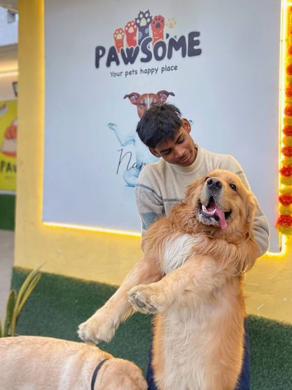 This big, happy Golden Retriever is light as a feather when you're lifting him with love.