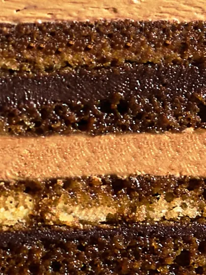An extreme close-up of the layers within my Opera Cake. You can see the texture of the almond sponge, the smoothness of the coffee buttercream, and the richness of the ganache.