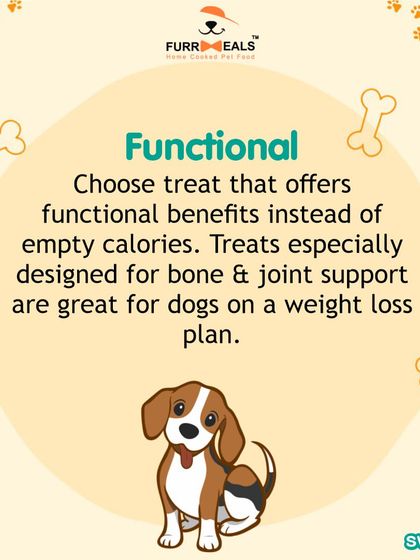 Treats can be a big part of weight gain. This guide provides three tips for responsible treating during a weight loss plan, focusing on safe, low-calorie, and functional treats while avoiding high-risk options like rawhide.