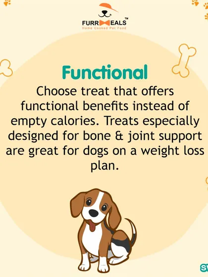 This collection of infographics and product shots provides a comprehensive guide to understanding, preventing, and managing dog obesity with my specialized diet plans and responsible treating tips.