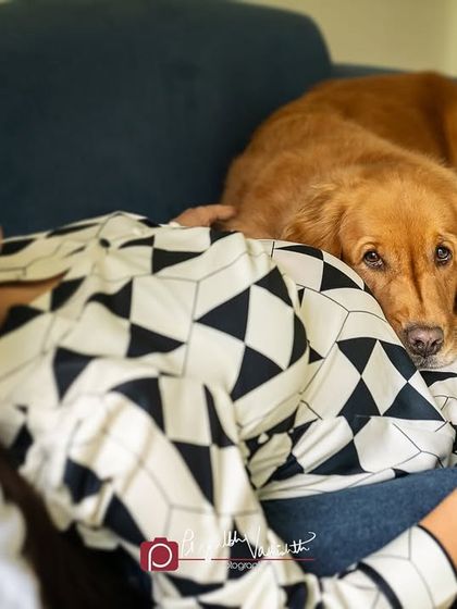 Pragalbh - Fine Art Pet Photography Family & Me photo 20