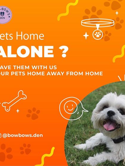 Worried about leaving your pet home alone? This graphic sums up our core promise: we are your pet's home away from home, providing all the love and care they need while you're away.