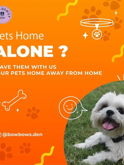Worried about leaving your pet home alone? This graphic sums up our core promise: we are your pet's home away from home, providing all the love and care they need while you're away.