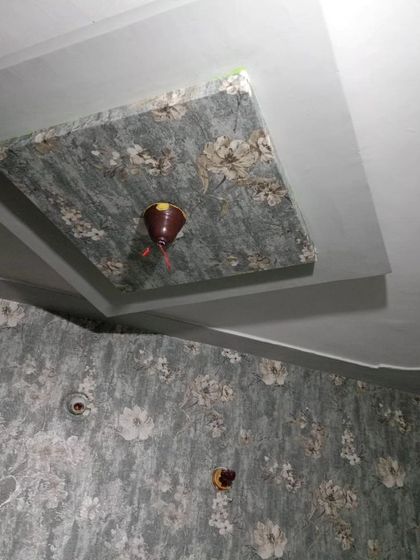 Ansari - Wallpaper & Mural Installation Nature & Floral Designs photo 97