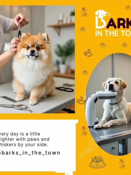 This graphic showcases what we are all about: providing loving care for your furry friends. We believe every day is brighter with paws and whiskers by your side.