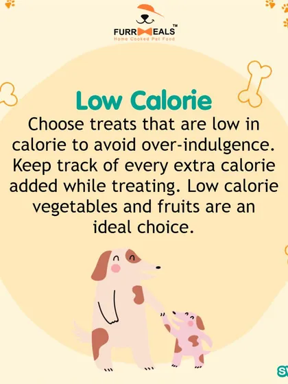 This collection of infographics and product shots provides a comprehensive guide to understanding, preventing, and managing dog obesity with my specialized diet plans and responsible treating tips.