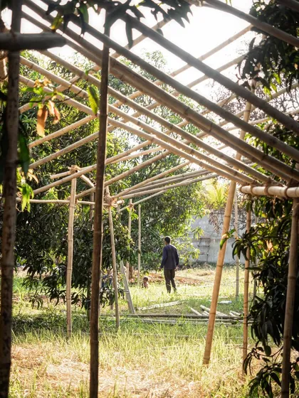 A team member walks through a full-scale bamboo mock-up of a building's roofline. This allows us to experience the volume of the space and its relationship to the surrounding foliage firsthand.