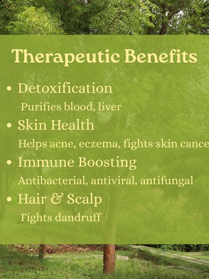 Learn about the powerful Neem tree, which grows all around the ashram. We teach you its many uses, from making a paste for skin inflammation to chewing leaves for detoxification.