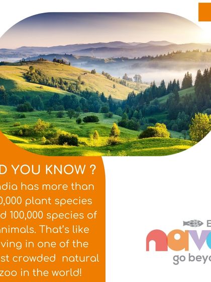 Did you know India has over 50,000 plant species? This educational graphic is part of my campaign for the Wild Shaale Workshop, designed to spark curiosity about our country's incredible biodiversity.