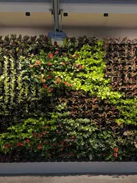 Specialty Garden & Plant Installations