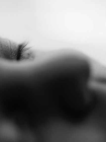 The magical nine-month journey leads to this. A macro shot of delicate newborn eyelashes is a beautiful way to capture the quiet, peaceful moments of sleep.