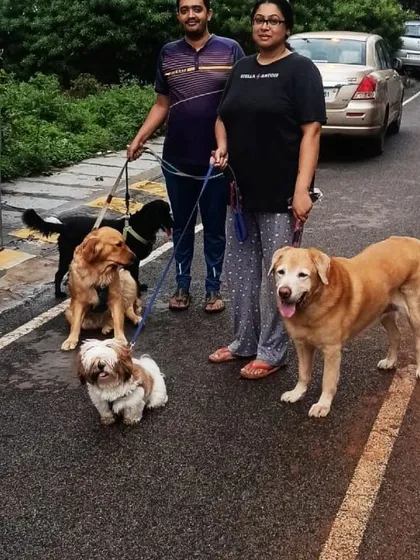 Here we are on one of our daily walks. We make sure all the pups get plenty of exercise and fresh air, exploring the neighborhood together. It's a great pack activity that helps them bond and burn off energy.