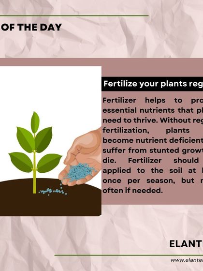 Expert Plant Care & Tips photo 23