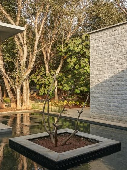 Mindspace - Educational & Institutional Architecture Architecture of Care & Serenity photo 17