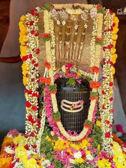 Art of Living - Religious Ceremonies & Festivals Maha Shivratri: An All-Night Awakening photo 32