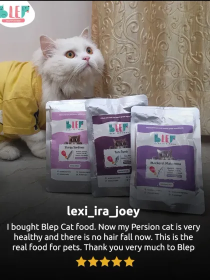 We haven't forgotten about our feline family. This beautiful Persian cat is proof that the right diet can make a world of difference. A customer shared that after switching to our cat food, her pet's hair fall stopped and health improved. That's a win we love to see.
