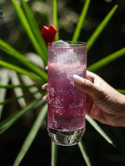 This vibrant purple cocktail is as magical as it looks. The color comes from butterfly pea flower tea, and it's a refreshing, light drink.