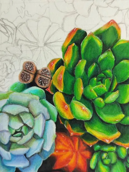A close-up of the succulent drawing, focusing on the green and yellow plants and the tiny, detailed lithops.