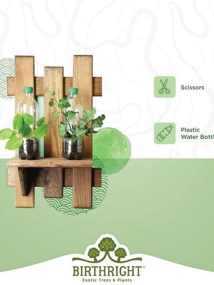 This DIY wall shelf made from scrap wood and plastic bottles is a perfect way to create a vertical garden in a small space.