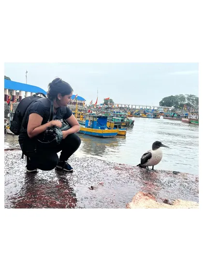 After a year of searching, I finally met this Masked Booby. This image captures that moment of quiet connection and mutual curiosity that I strive to build with every animal I meet.