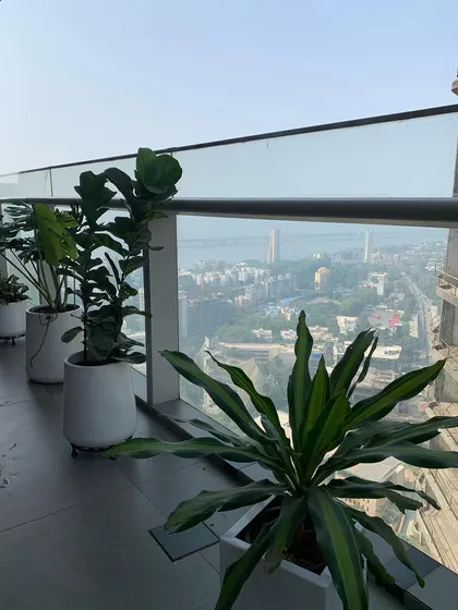 This is a look at a high-rise balcony project in Worli, where I used a series of modern white planters to create a clean, elegant green space. The plants were chosen to withstand the wind and sun exposure while framing the incredible city and sea view.