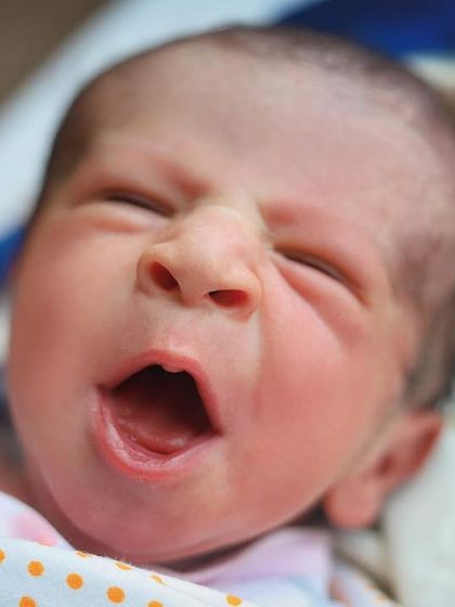 A big yawn from a sleepy newborn. These candid, unposed moments are often the cutest and most memorable from a Fresh 48 session.