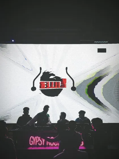 A silhouette shot from the crowd's perspective, with my logo on the screen. This shows the scale of the production at my gigs.