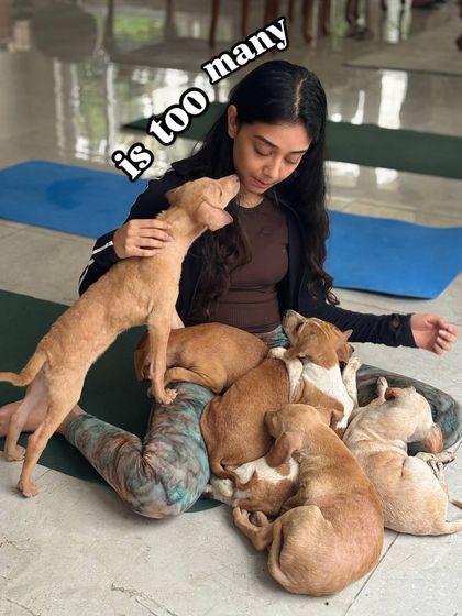 How many puppies is too many puppies? We don't think there's an answer. Get ready to be joyfully swarmed by a pack of adorable, adoptable indie pups.