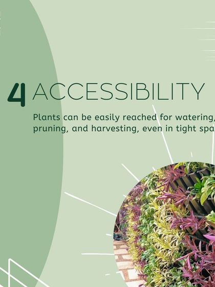 Terrace Garden - Landscape & Outdoor Living Design Lush Greenery: Lawns & Vertical Gardens photo 5