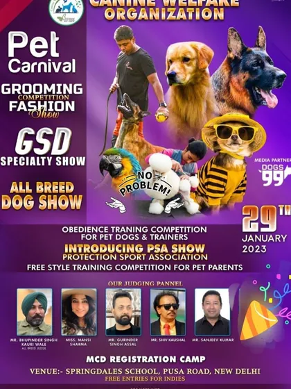 Our involvement in pet carnivals often includes organizing and judging grooming competitions and fashion shows. This event provides a fun, festive atmosphere for groomers to compete and for pet parents to see the latest trends.