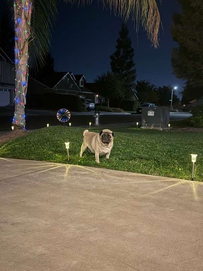 Adventures in the USA photo 12