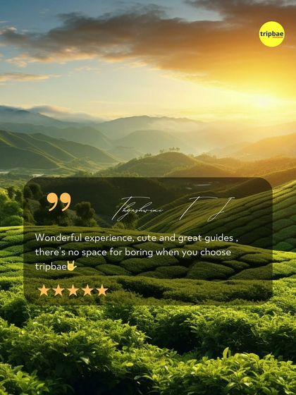 "There's no space for boring when you choose tripbae." A wonderful review praising our cute and great guides.