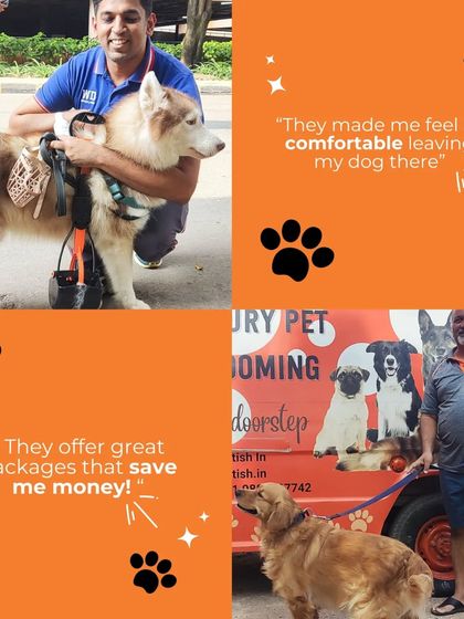 Petish Grooming - Mobile Grooming for Dogs & Cats Happy Pet Parents: Reviews & Testimonials photo 13