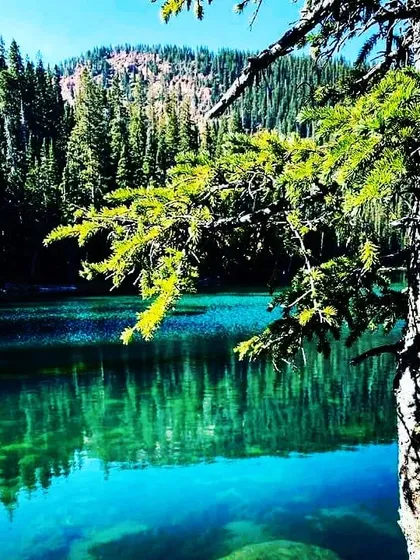 The vibrant, clear water of an alpine lake reflects the surrounding pine forest. The healing power of nature is real. Just being present in a place like this can begin the process of cellular repair and regeneration.