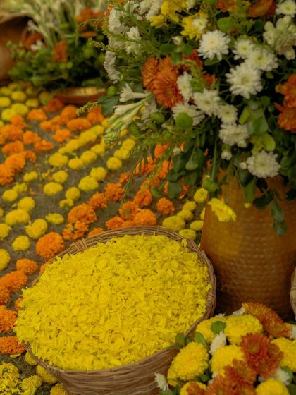 Baskets of loose marigold petals ready for the phoolon ki holi. I ensure every detail is thoughtfully arranged, making the experience seamless and beautiful for everyone involved.