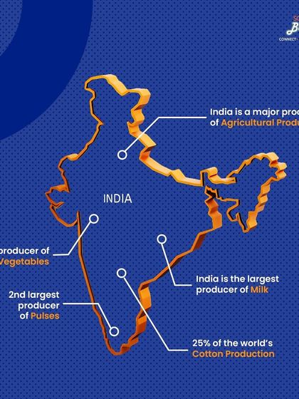As the largest producer of milk, fruits, and vegetables, and the second-largest producer of pulses, India is a powerhouse of raw materials. I help you turn this agricultural abundance into processed goods for domestic and global markets.