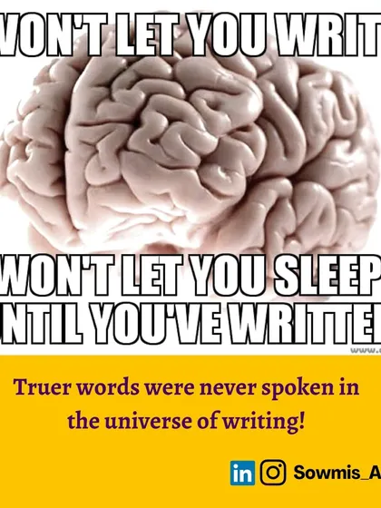 This meme about the writer's brain is so true. Sometimes it won't let you write, and other times it won't let you sleep until you've written down that brilliant idea. The struggle is real for all writers, including academics.
