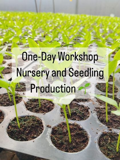 Join us to delve into the art of seedling production. Our one day workshop covers everything from nursery types and climate management to pest control.