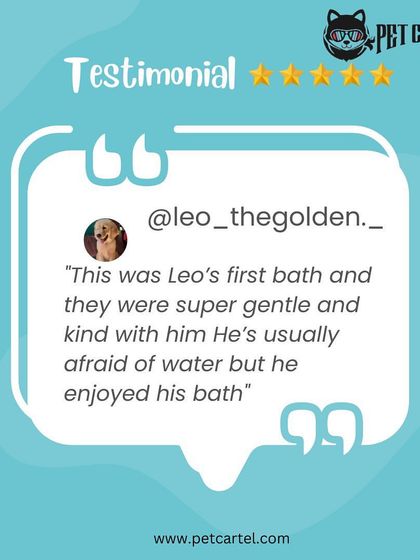 Pet Cartel - Mobile Pet Grooming Happy Tails: Customer Stories photo 6