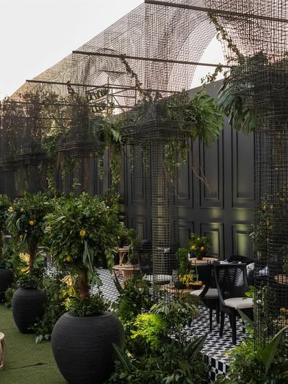 A wide view of the 'Lemon Garden' sangeet, where we used black structures, checkerboard floors, and rows of lemon trees to create a unique night garden feel.