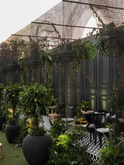 A wide view of the 'Lemon Garden' sangeet, where we used black structures, checkerboard floors, and rows of lemon trees to create a unique night garden feel.