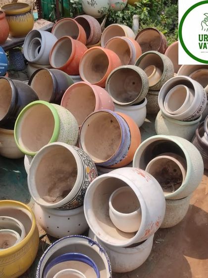 A wide assortment of ceramic pots in various sizes and colours.