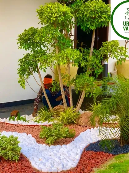 A small space can have a big impact. I designed this entryway garden using a combination of lush plants and decorative pebbles to create a stunning, low-maintenance green welcome for the home.