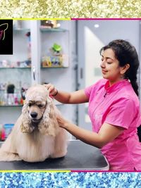 Pet Grooming & Spa
