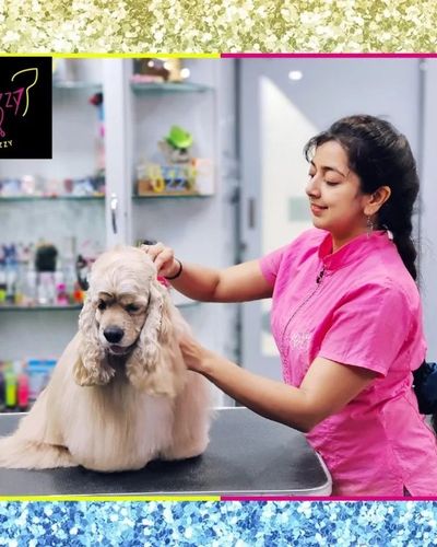 Pet Grooming & Spa