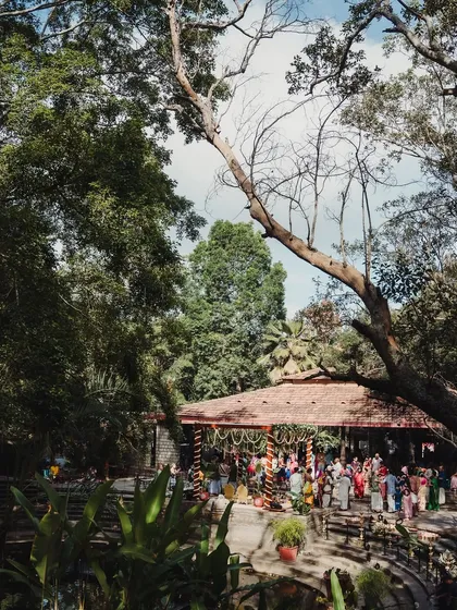 A high-angle view of a ceremony in progress at the Pond Pavilion, capturing the gathering of guests amidst the trees.
