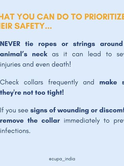 Cupa - Animal Cruelty Legal Aid & Advocacy Know Your Rights: A Guide for Feeders & Pet Owners photo 14