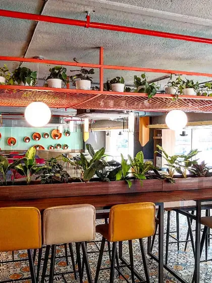 We also bring greenery indoors. For this corporate cafeteria, we designed and installed a central planter and overhead shelving with a variety of indoor plants, improving air quality and creating a more relaxed dining environment.