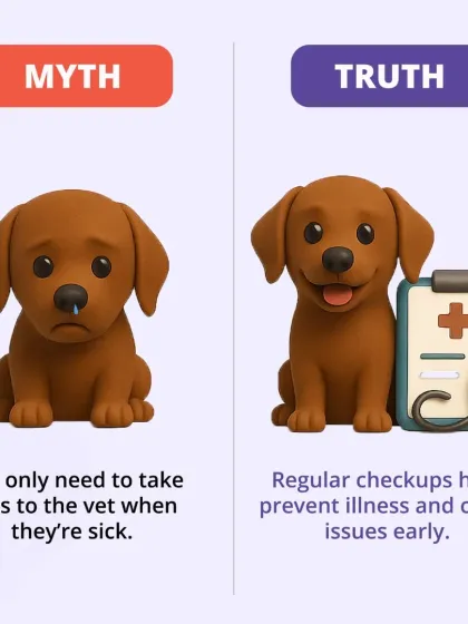 CarryMyPet - Pet Travel & Parenting Consultation Pet Parenting & Wellness photo 12